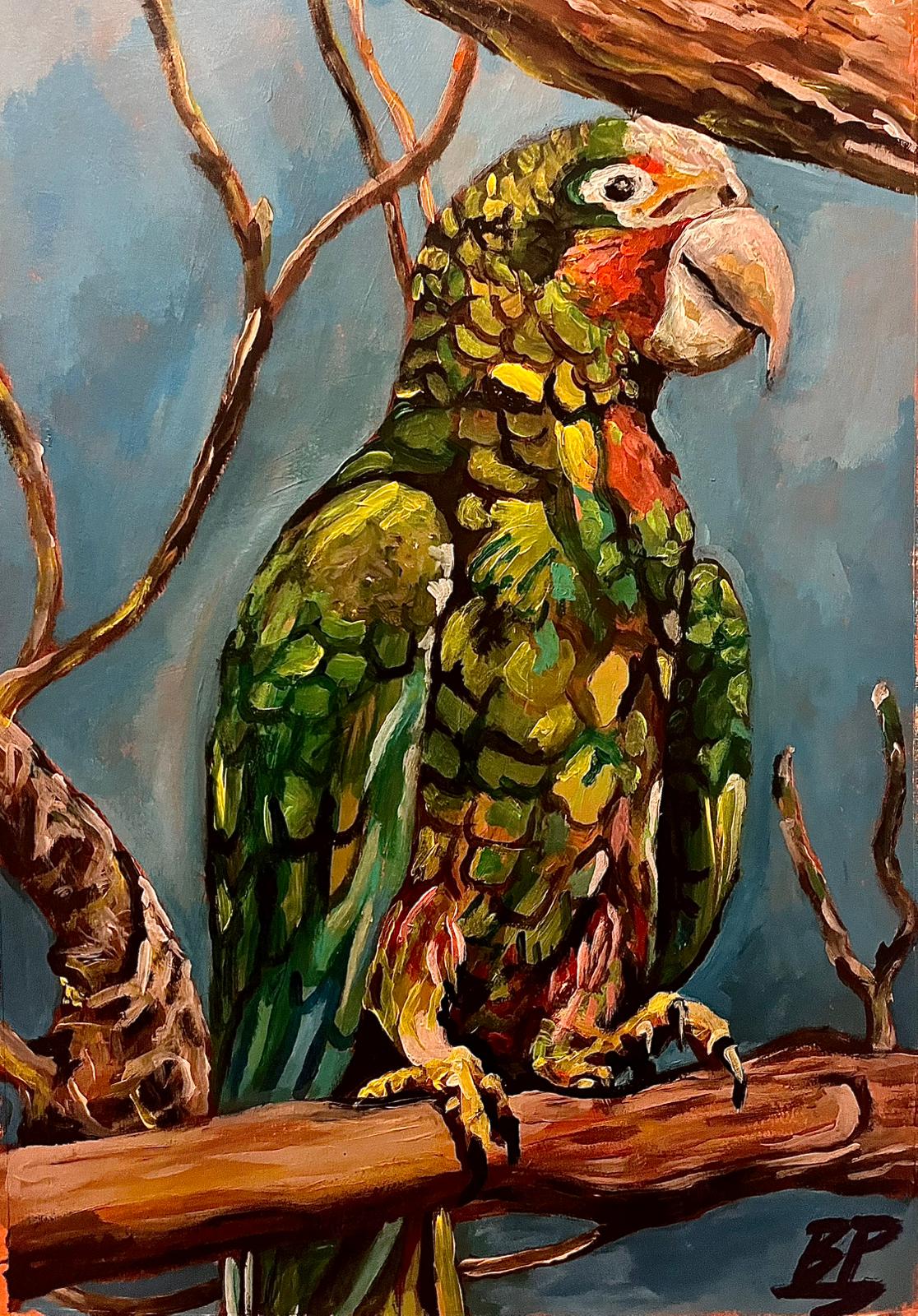 Perched Abaco Parrot Print | 11" x 14"