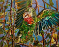 Abaco Parrot 11" x 14" Print