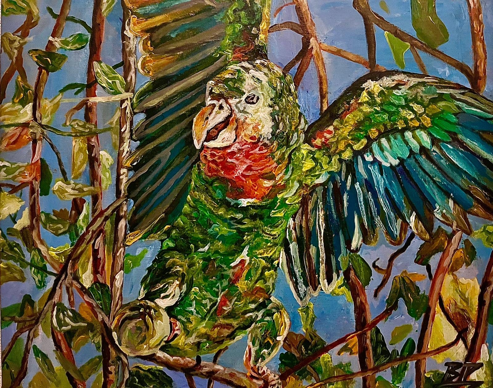 Abaco Parrot 11" x 14" Print