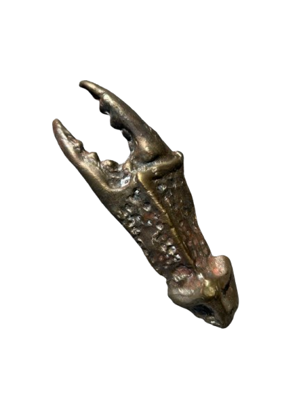 Bronze Blue Crab Claw Bottle Opener