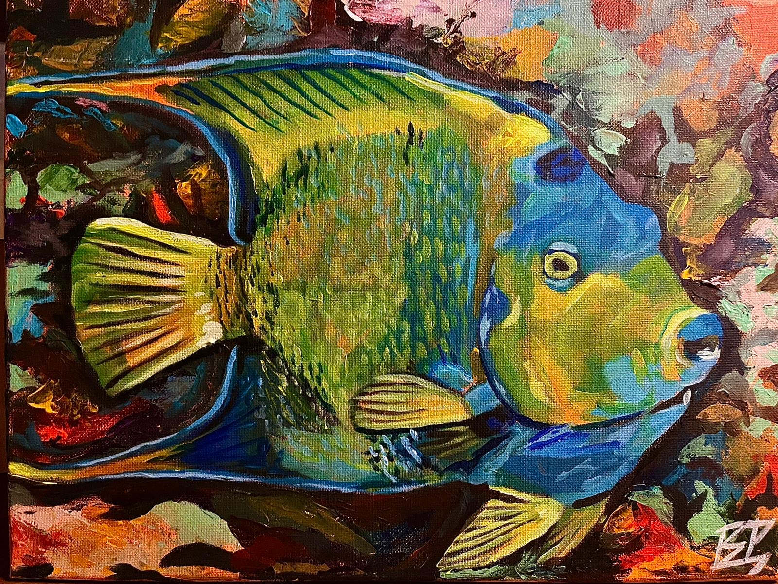 Queen Angelfish 11" x 14" Print