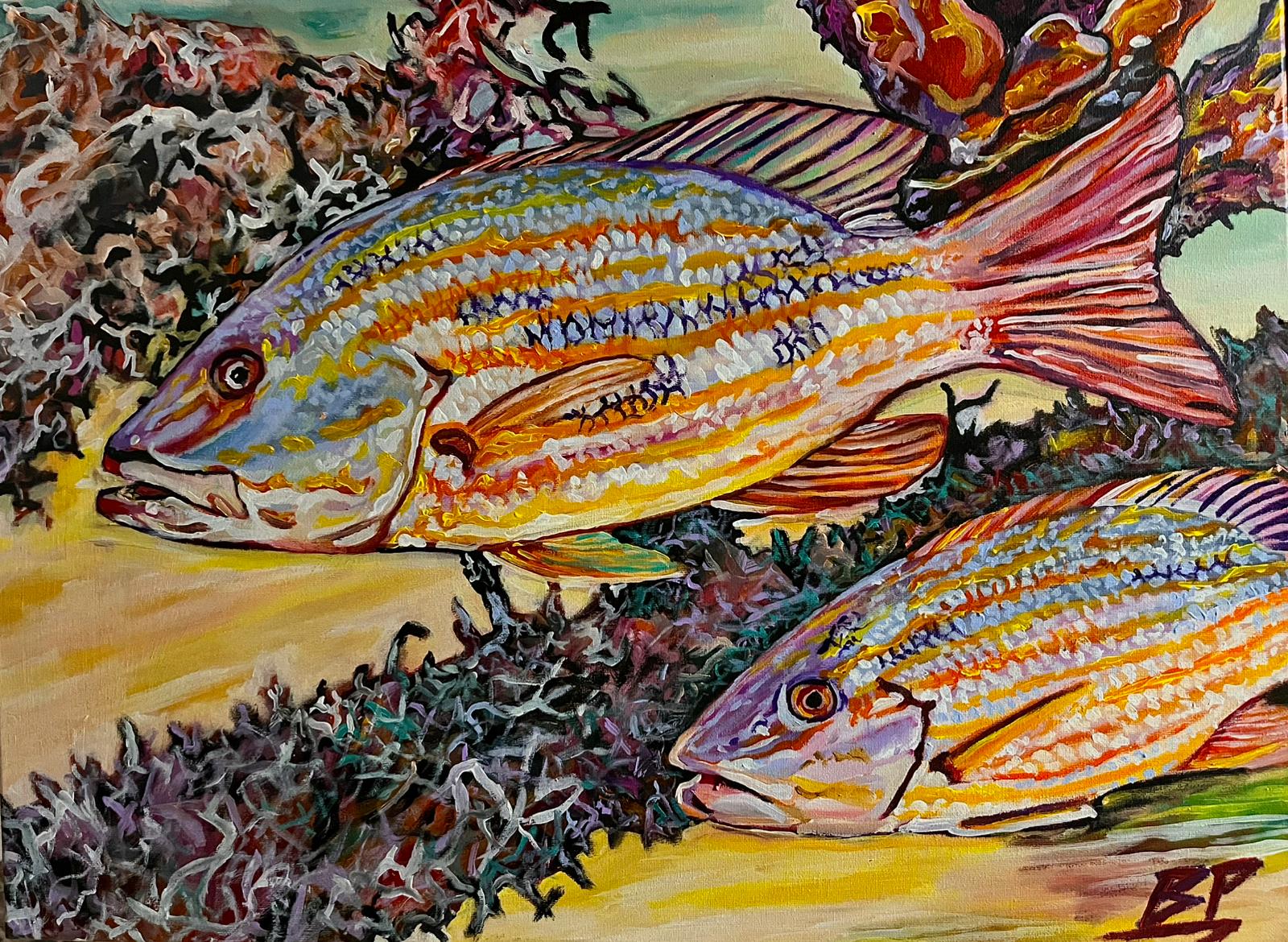 Lane Snappers 11" x 14" Print